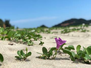 恩德斯豪斯液位计说明书，恩德斯豪斯液位计接线方法